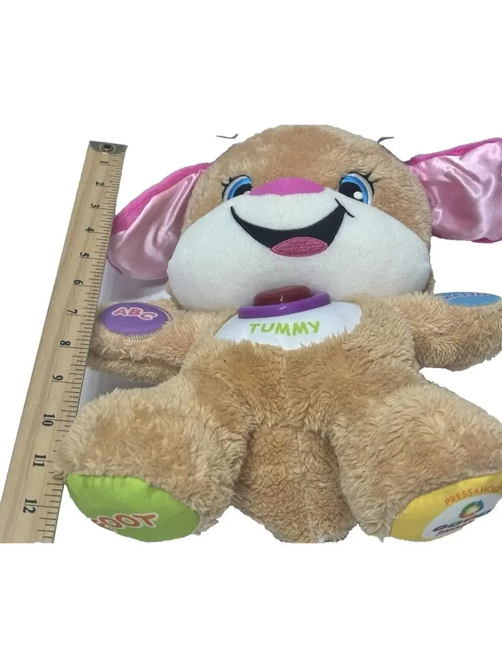 Fisher Price ABC Baby Plush Bear: Interactive Learning Talking Tummy Musical Toy
